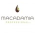 Macadamia