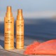 NUXE Moisturising Protective Milky Oil for Hair 100ml