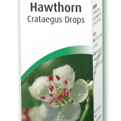 A. Vogel Crataegisan Hawthorn 50 ml A. Vogel Crataegisan Hawthorn 50 ml